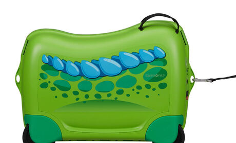 Multifunctional leash