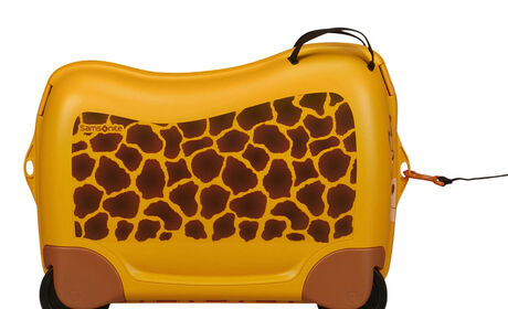 Multifunktionellt band