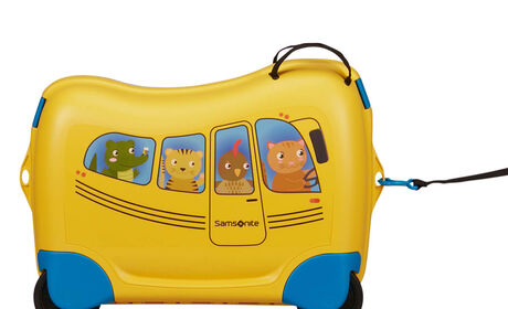 Multifunctional leash