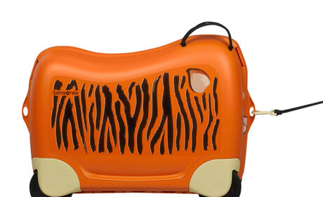 Multifunktionellt band