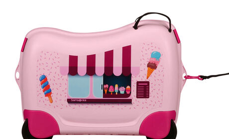 Multifunctional leash