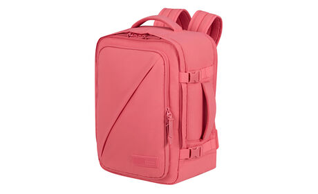 Uppfyller Ryanairs och Wizz Airs storlekskrav för gratis kabinbagage ombord