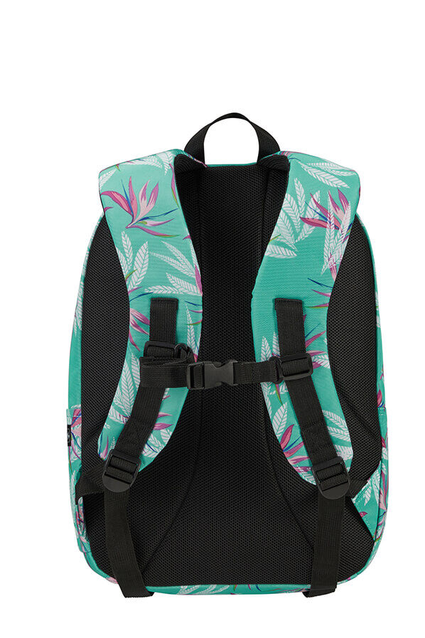 American Tourister Urban Groove Lifestyle Backpack  Bloom