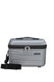 American Tourister Flashline Beauty Case  Sky Silver