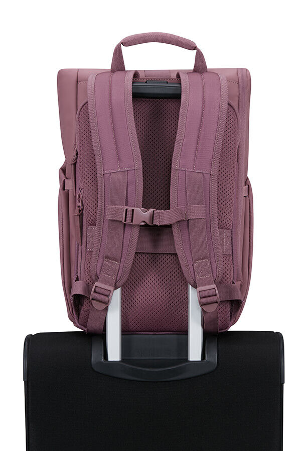 Urban Tide Ryggs&auml;ck 14'' rolltop 14" | American Tourister Urban Tide Rolltop Laptop Backpack 14'  Galactic Mauve