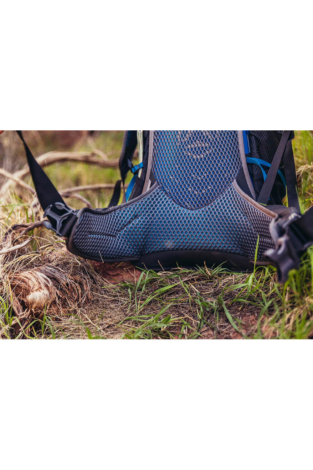 Gregory  CITRO 30 RC  Volt Blue